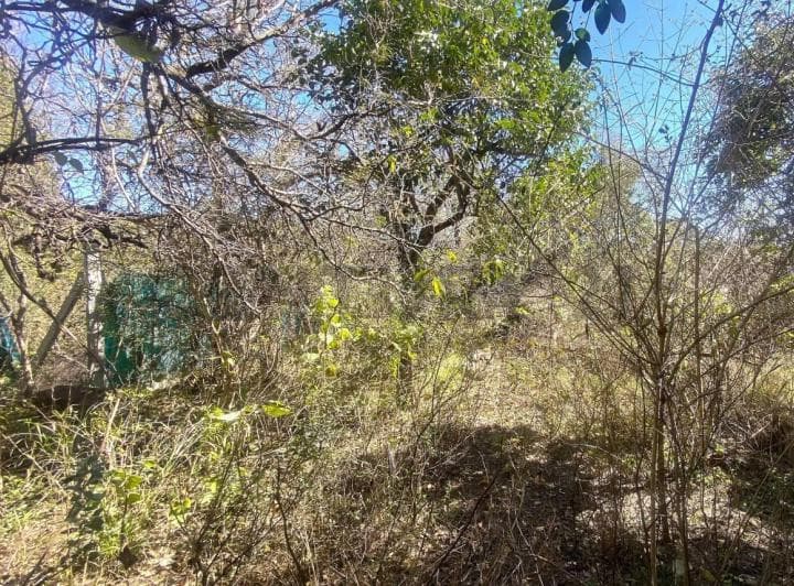 Terreno en Venta en La Granja – 1.485 m² – Escritura - 5