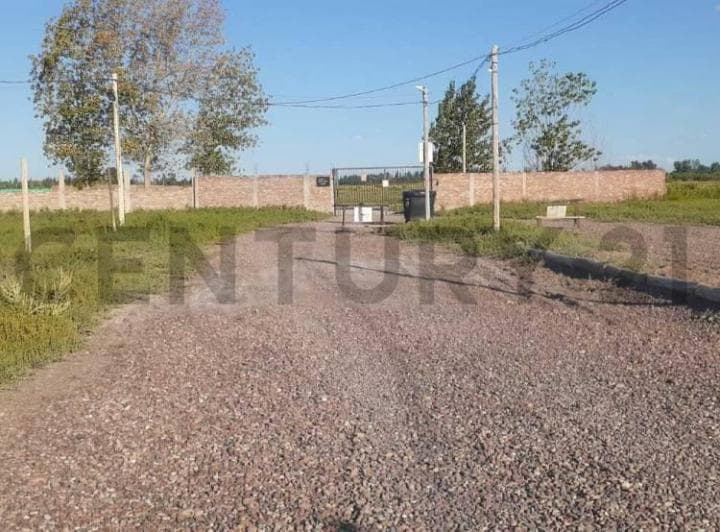 Century 21 Lucio Barroso Vende Lotes - 4