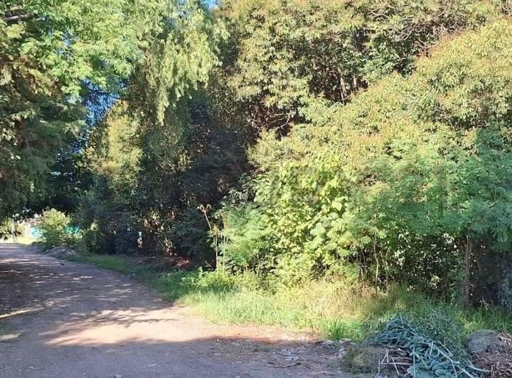 Venta de Lote en Sicardi 300 m² - 5