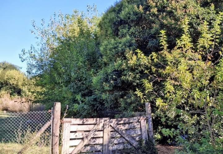 Venta de Lote en Sicardi 300 m² - 3