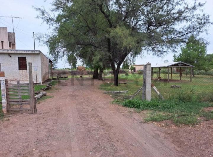 Venta de Casa con Amplio Terreno en Costa de Araujo, Lavalle, Mendoza. Id: 33197 - 4