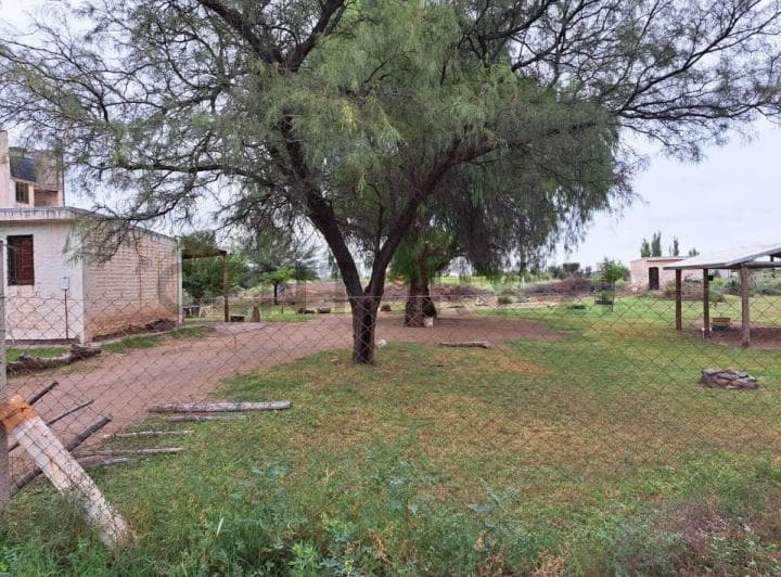 Venta de Casa con Amplio Terreno en Costa de Araujo, Lavalle, Mendoza. Id: 33197 - 3