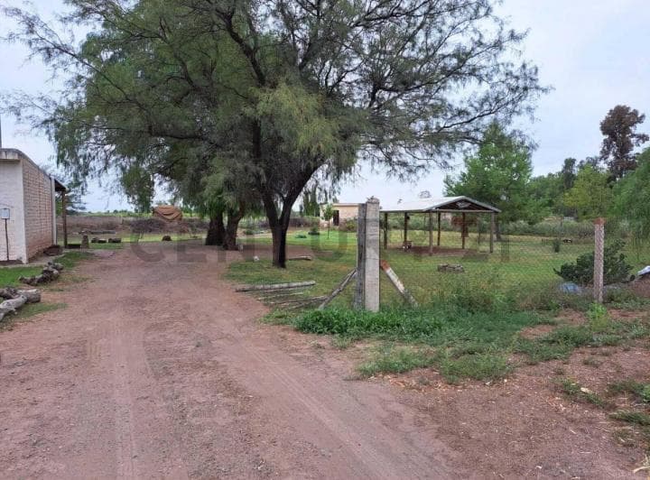 Venta de Casa con Amplio Terreno en Costa de Araujo, Lavalle, Mendoza. Id: 33197 - 5