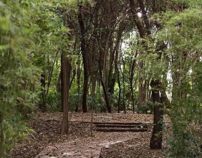 Lote en Barrio El Bosque – Maipu - 5