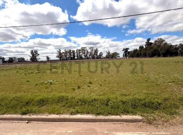 Lote en Parque Industrial - Venado Tuerto - 2
