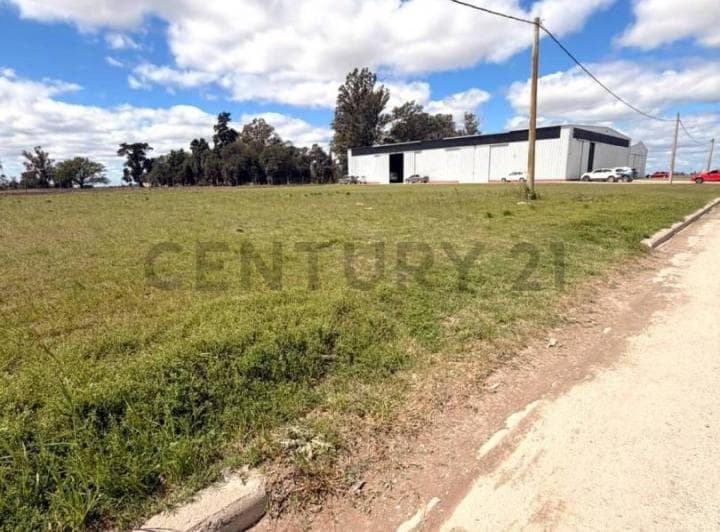 Lote en Parque Industrial - Venado Tuerto - 3