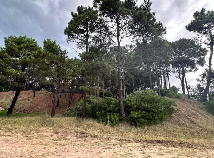 Venta Lote Álamos Pinamar - 5