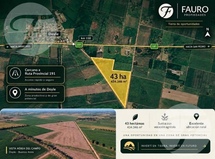 Campo Agrícola de 43,43 Hectáreas en Venta – 3 Parcelas Independientes – Doyle, San Pedro - 2