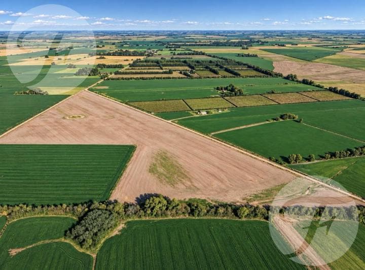 Campo Agrícola de 43,43 Hectáreas en Venta – 3 Parcelas Independientes – Doyle, San Pedro - 3
