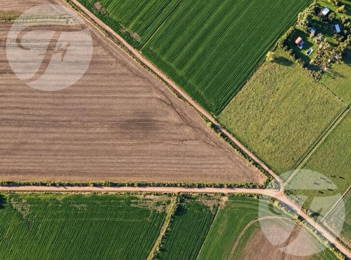 Campo Agrícola de 43,43 Hectáreas en Venta – 3 Parcelas Independientes – Doyle, San Pedro - 5