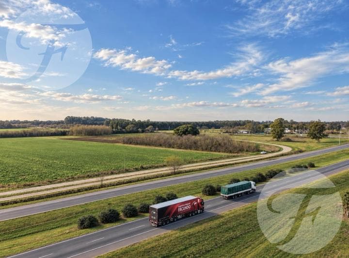 Venta de Fracción Comercial I Ruta 9 y 191 Altura de Acceso a San Pedro I Apto Múltiples Destinos I - 4