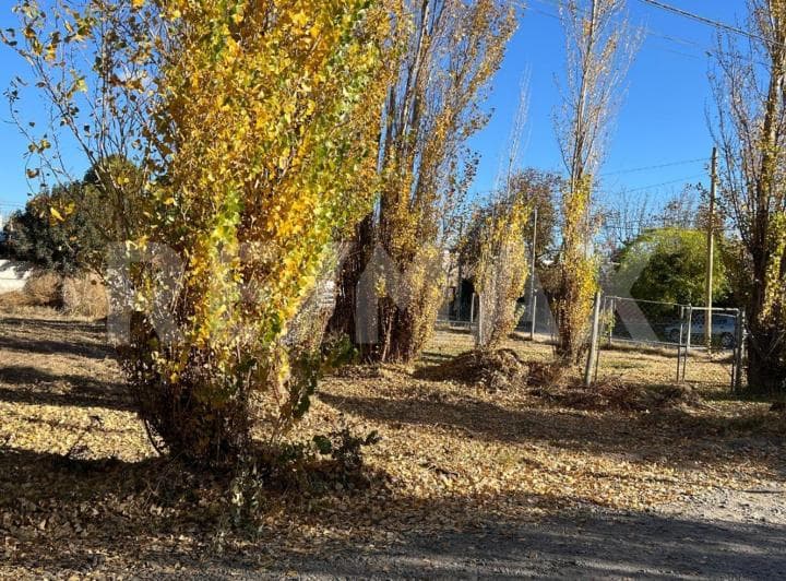 En Venta Terreno 389 m² Cerca del Centro Plottier - 4