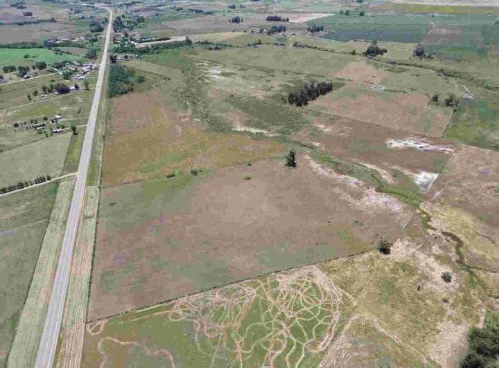 Venta de Chacras en Ruta 7 Km68 San Jacinto - 3