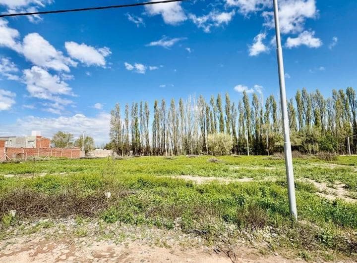 Terreno en Confluencia Rural - 2