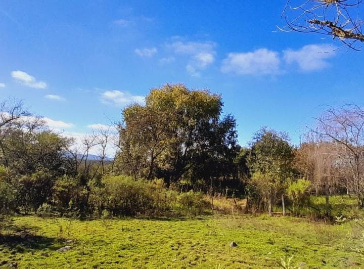 Venta de Terreno 5817 Mc en Los Paños Sobre Ruta - 2