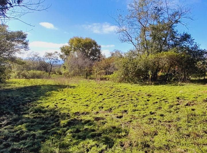 Venta de Terreno 5817 Mc en Los Paños Sobre Ruta - 5