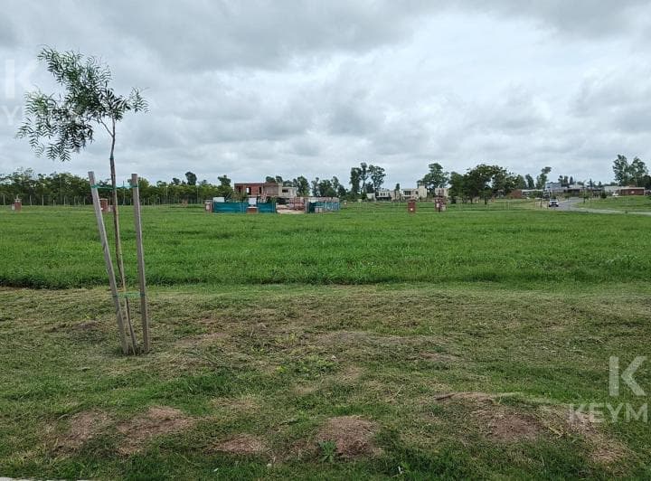 Venta Lote - Terreno - Santa Sofia - Pilar del Este - Pilar - 2