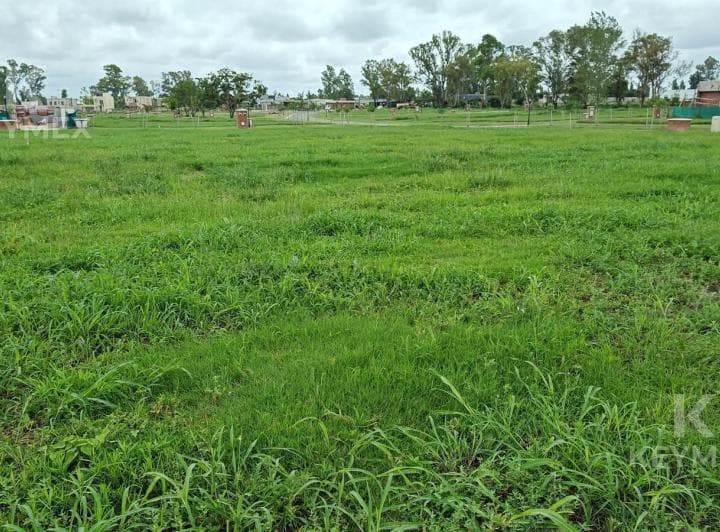Venta Lote - Terreno - Santa Sofia - Pilar del Este - Pilar - 3