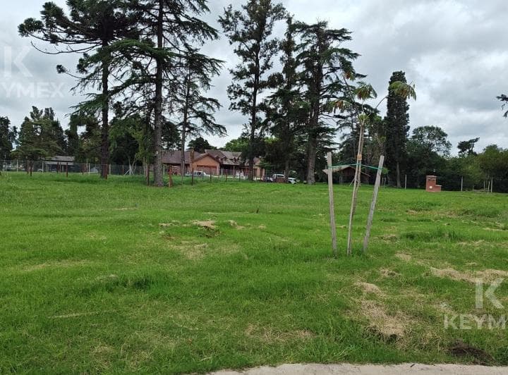 Venta Lote - Terreno - Santa Sofia - Pilar del Este - Pilar - 4