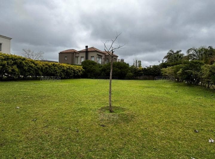 Terreno Lote en Venta en Los Alisos, Nordelta, Tigre - 3