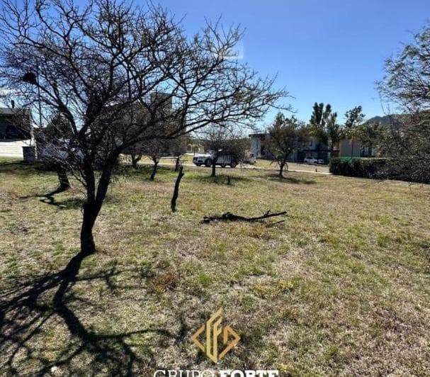 Lote Venta La Arbolada Hollywood con Escritura - 5