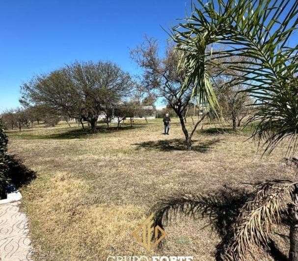 Lote Venta La Arbolada Hollywood con Escritura - 2