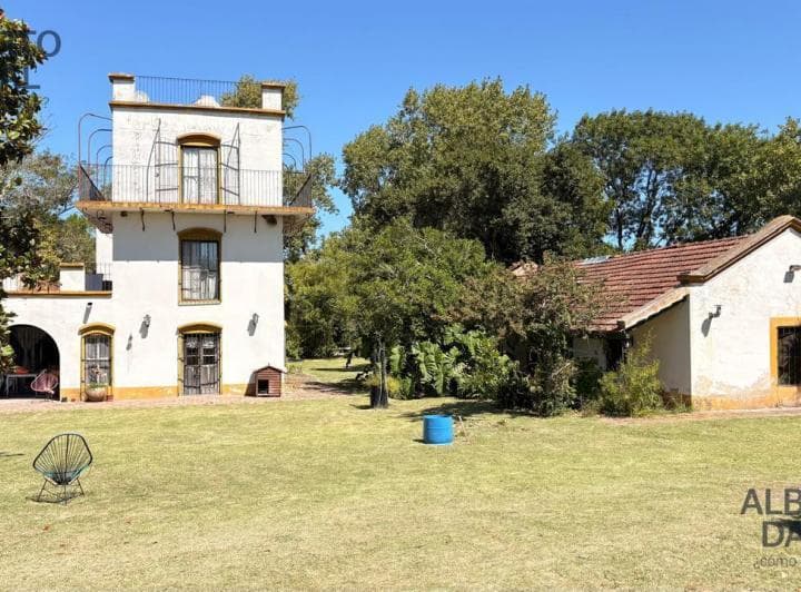 Campo - Atalaya - 4