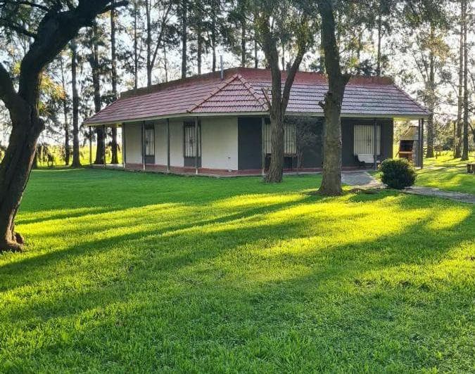 Campo Mixto 392hras con Posibilidad Venta Tranquera Cerrada - 2