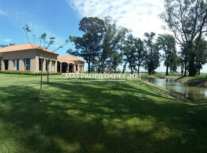 Venta Terreno / Lote Interno San Lucas Canning - 4