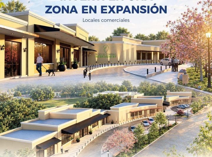 Locales Comerciales en Venta Paseo de Compras Intercountry Nqn - Plottier - 4