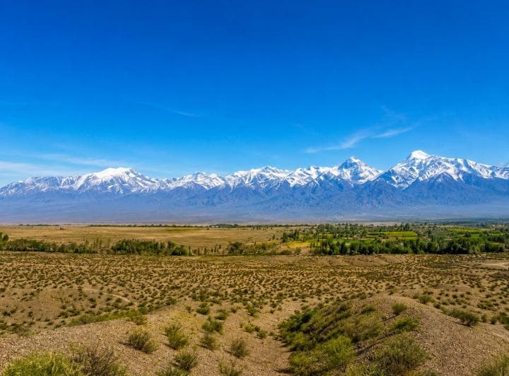 Lotes 2.000 m² Barreal, San Juan - 4