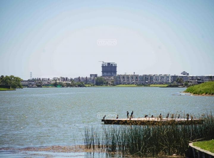 Terreno Lote en Venta en Casuarinas, Nordelta, Tigre - 4