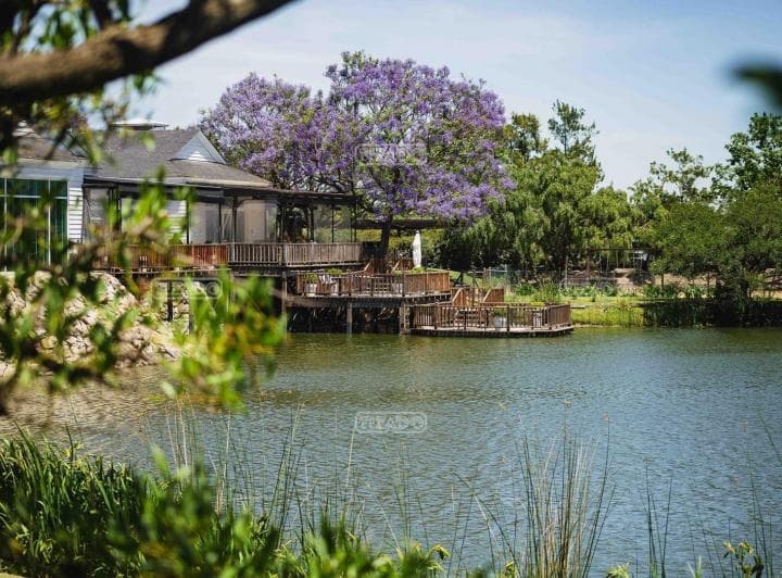 Terreno Lote en Venta en Casuarinas, Nordelta, Tigre - 3