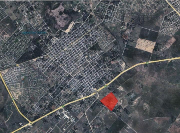 Campo de 33.5 Has en San Vicente, a 300 m de Ruta 6. Ideal Desarrollo Inmobiliario C/prefactibilidad. - 2