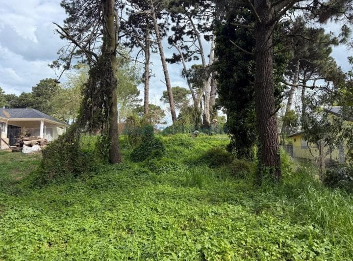 Lote en Venta en Pinamar - 2