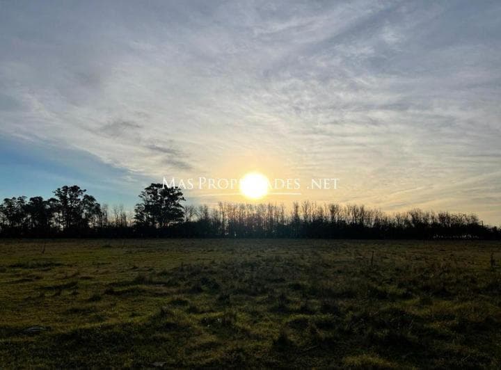 Venta Terreno / Lote en Cañuelas - 4