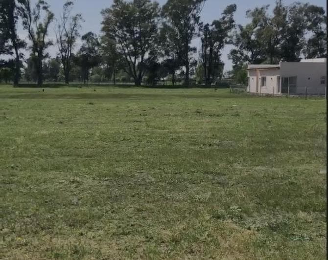 Lote Interno en Tres Pinos, Fondo Verde - 3