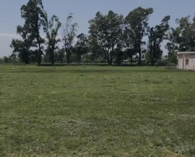 Lote Interno en Tres Pinos, Fondo Verde - 4