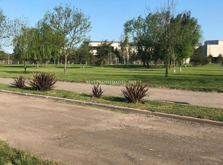 Venta Terreno / Lote en Santa Rita Canning - 3