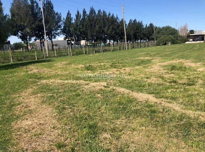 Venta Terreno / Lote en Santa Rita Canning - 4