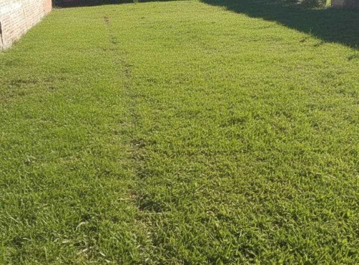 Terreno de 250 m² en Venta en Santo Tomé - 5