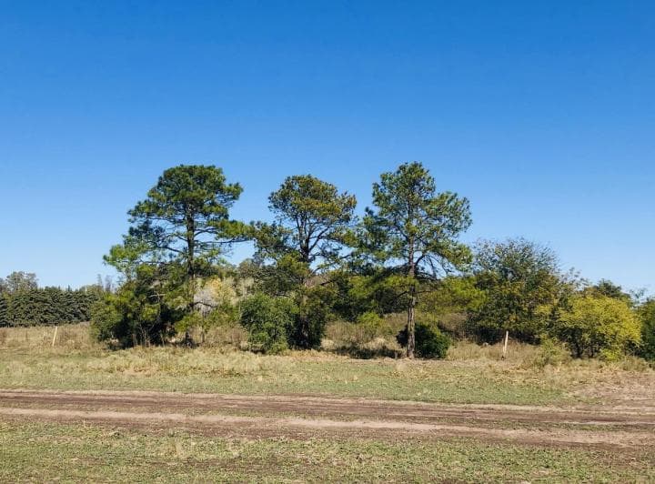 Lote en Venta Barrio El Paso - del Viso - Pilar - 4