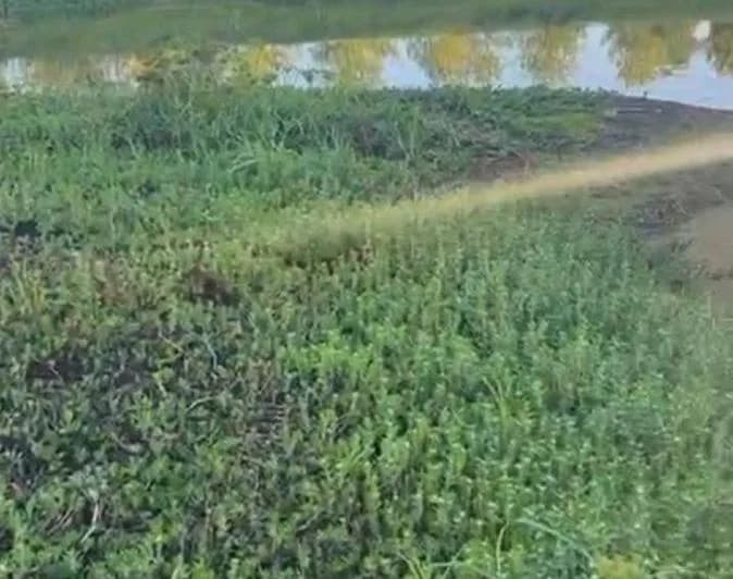Venta Terreno Directo a La Laguna en Barrio Nautico El Cazal Escobar. - 5