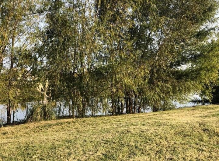 Venta Terreno Directo a La Laguna en Barrio Nautico El Cazal Escobar. - 3