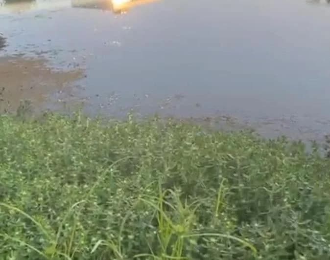 Venta Terreno Directo a La Laguna en Barrio Nautico El Cazal Escobar. - 2