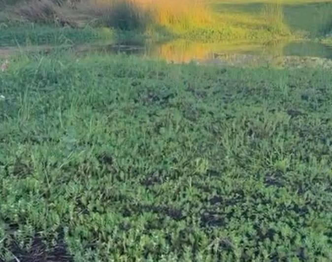 Venta Terreno Directo a La Laguna en Barrio Nautico El Cazal Escobar. - 4