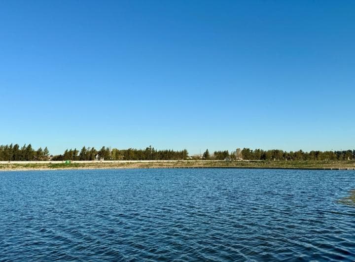Lote Al Lago en Venta en Silvestre Nordelta - 4