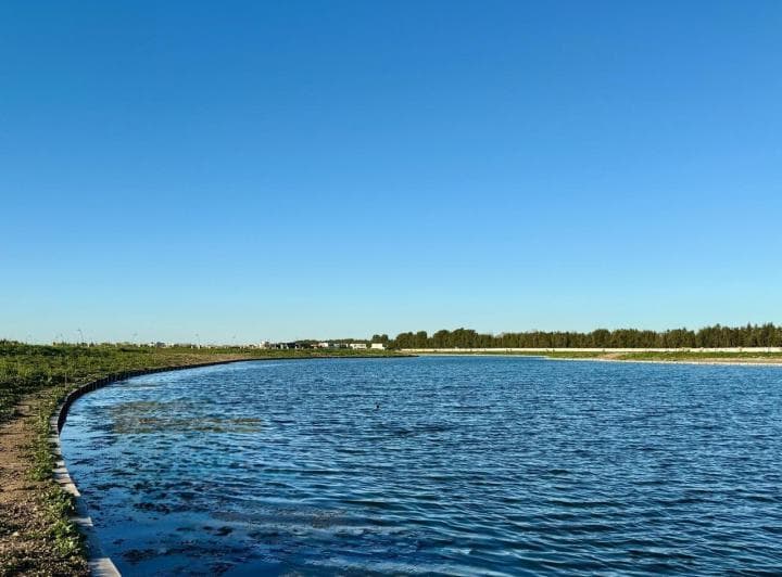 Lote Al Lago en Venta en Silvestre Nordelta - 3