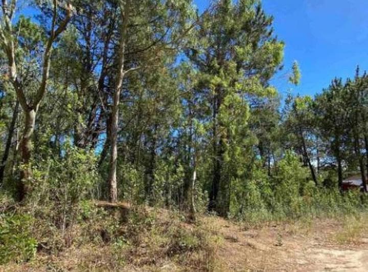 Terreno en Venta - 600 m² - Mar de Las Pampas - 4