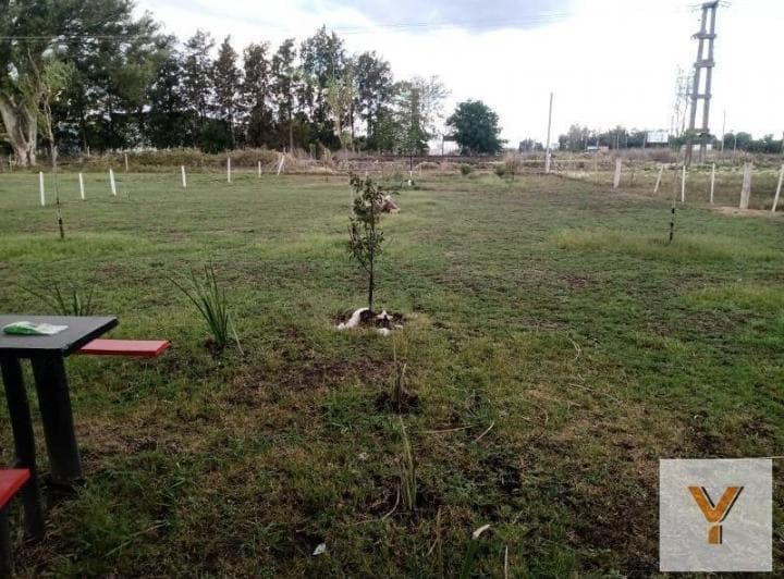 Terreno en Venta - 1080 m² - Abasto - 2
